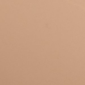 ALDO Stessysling escarpin slingback nude talon