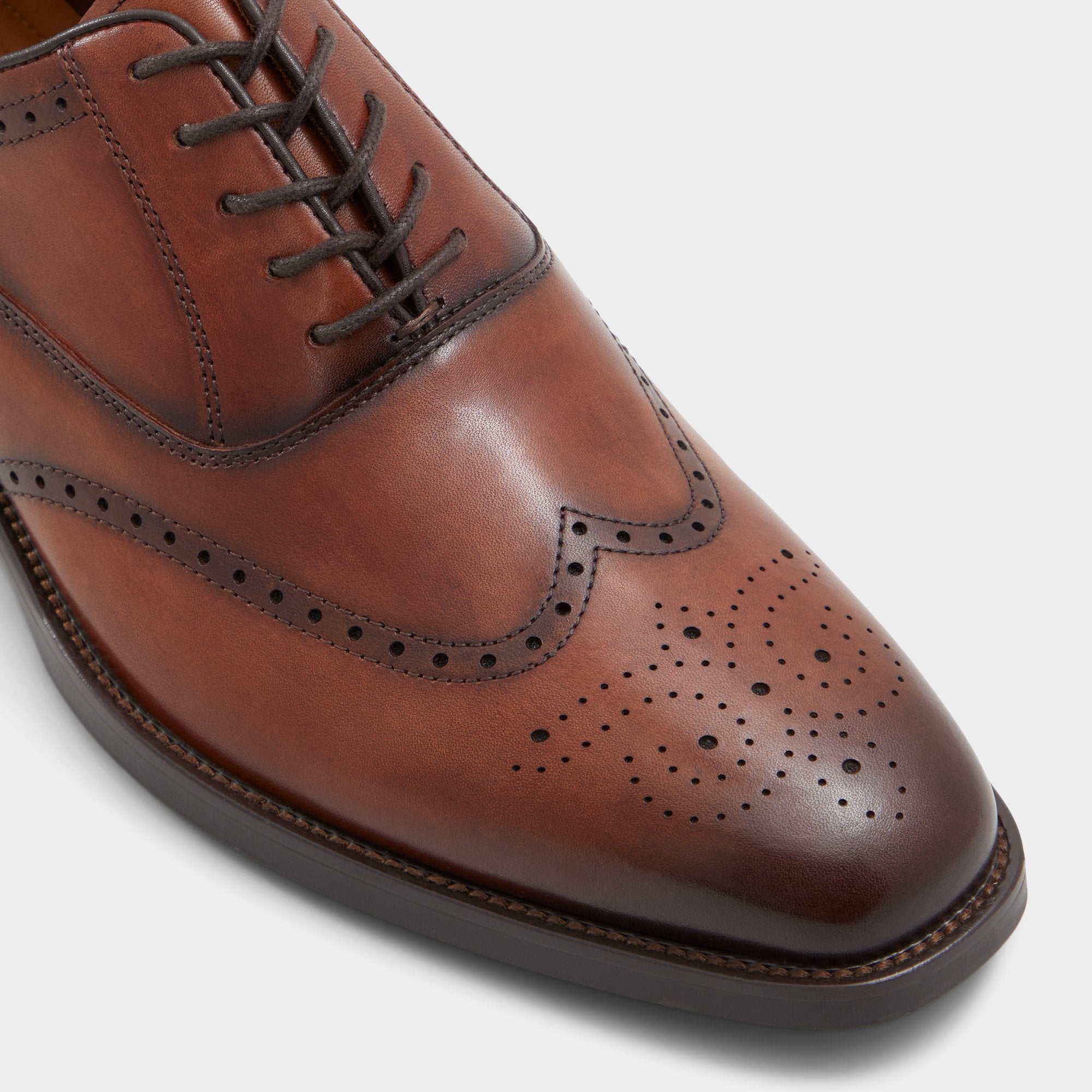 Aldo Donald derby homme marron perforé
