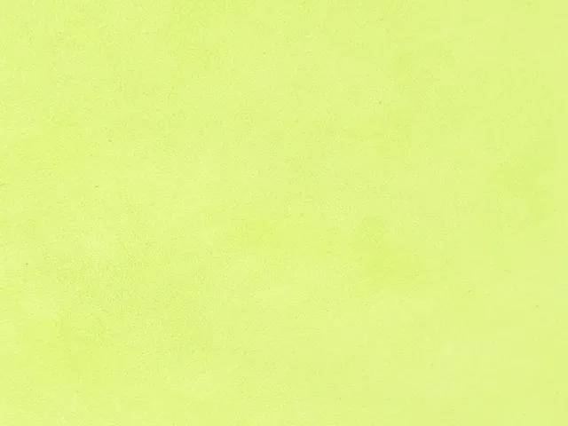 Dessine Moi Un Soulier échantillon velours vert anis matière