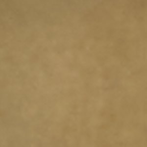 ALDO Louu accessoire femme automne