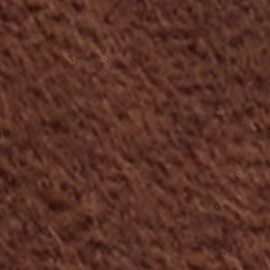 ALDO Marisea sandales plates marron boucles