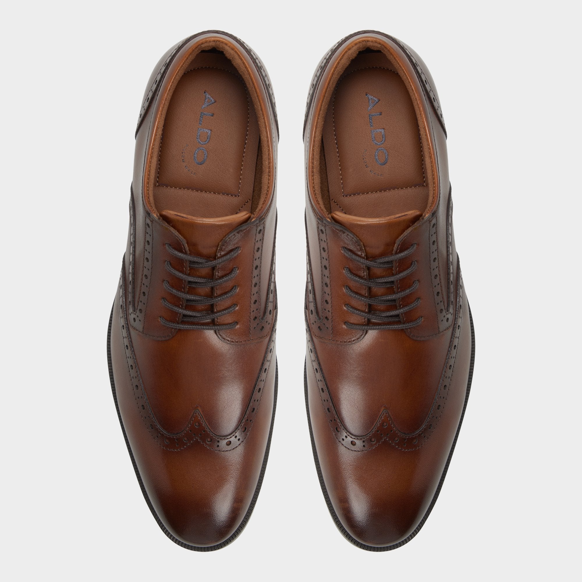ALDO Haringtona-in bottines basses marron