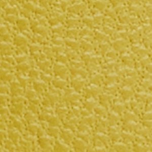 ALDO Itsandal sandale plate jaune moutarde