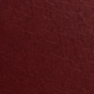 ALDO Dixy bottes cavalières femme bordeaux cuir