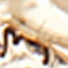 Aldo Hilderstone collier superposé femme fantaisie