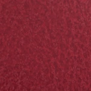 ALDO Kaylin escarpins slingback rouges