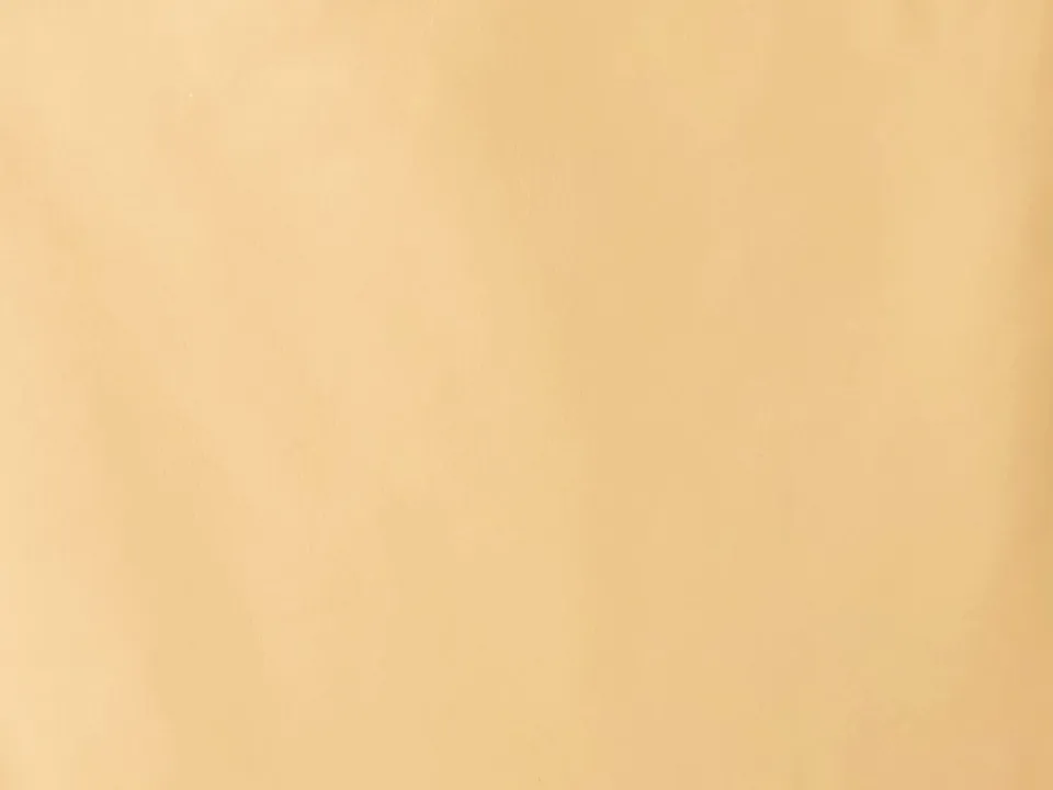 Dessine Moi Un Soulier échantillon cuir camel