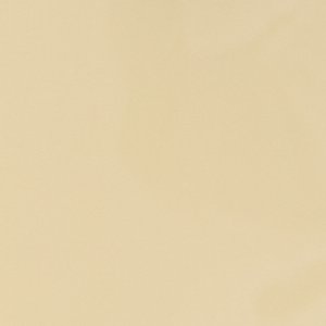 ALDO Geoliari accessoire femme doré
