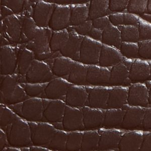 ALDO Crealilyy sac à main marron