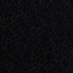 ALDO Felton escarpins femme noirs talon