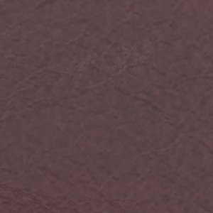 ALDO Ridlee bottes bordeaux talon bloc