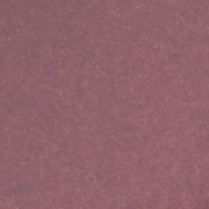 Aldo Forevermore sandales à talon bordeaux verni