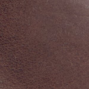 ALDO Longhorn bottes western marron festivals