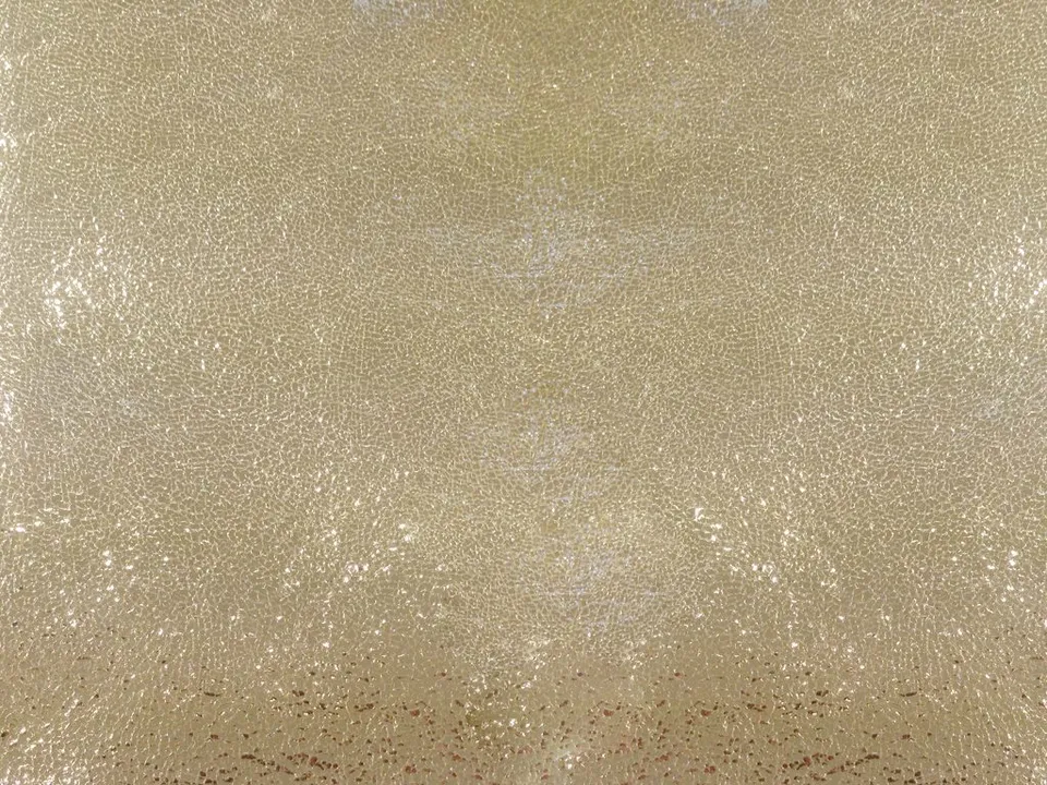 Dessine Moi Un Soulier Irisé échantillon cuir champagne irisé