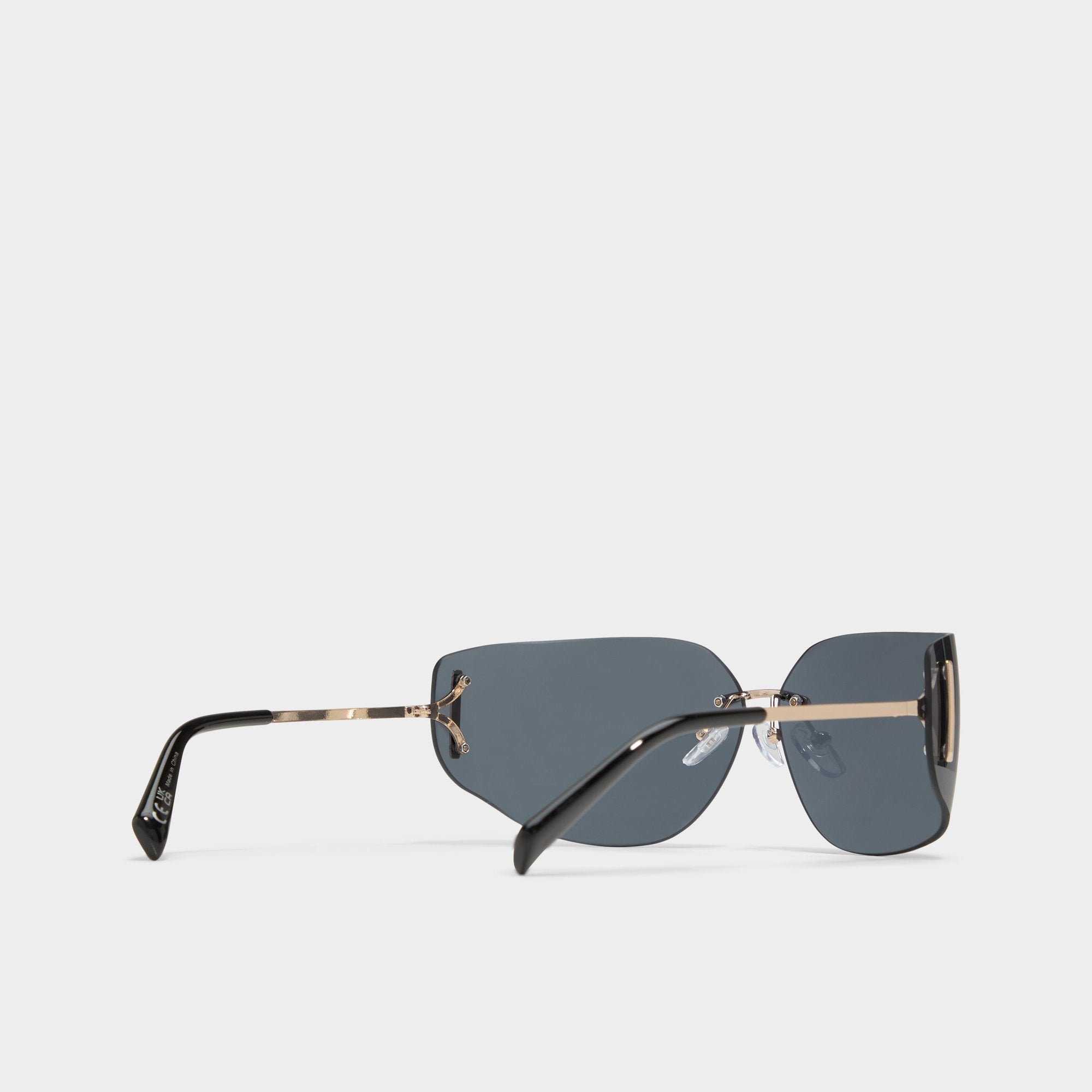 ALDO Pigowenx lunettes de soleil carrées