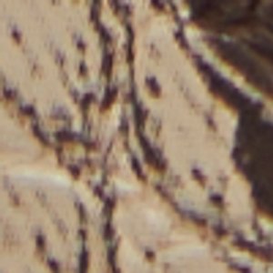 ALDO Alamassi mules plates légères