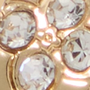 ALDO Iconhoop boucles créoles dorées