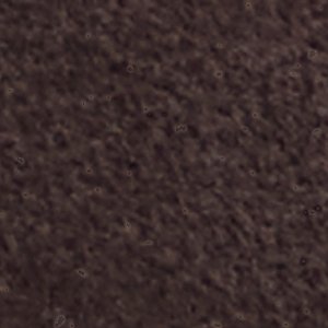 ALDO Kaylin escarpins slingback marron suède