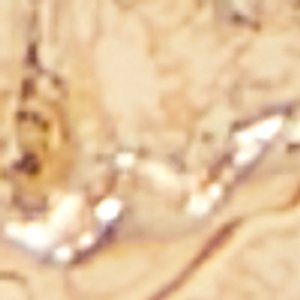 ALDO Glenealy lot de bagues fantaisie