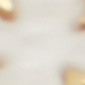 ALDO Elbelia bracelet fantaisie doré