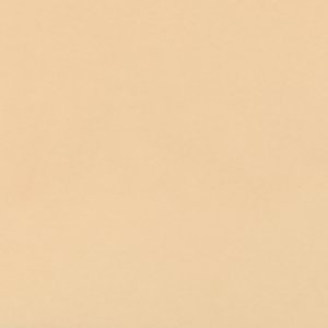 Aldo Merredith accessoire métallique femme