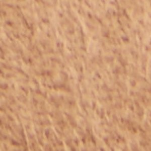 ALDO Ayrah ballerines cuir suède beige