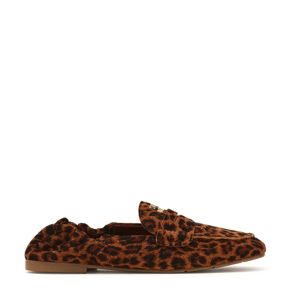 Steve Madden Newbury-A ballerines daim léopard