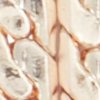 ALDO Melithiel boucles d'oreilles fantaisie