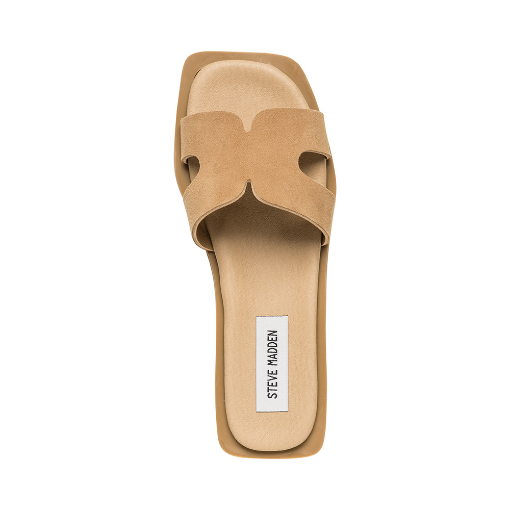 Steve Madden Sofia Slide mules sable daim