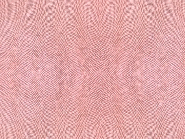 Dessine Moi Un Soulier Vipérine blush échantillon cuir serpent
