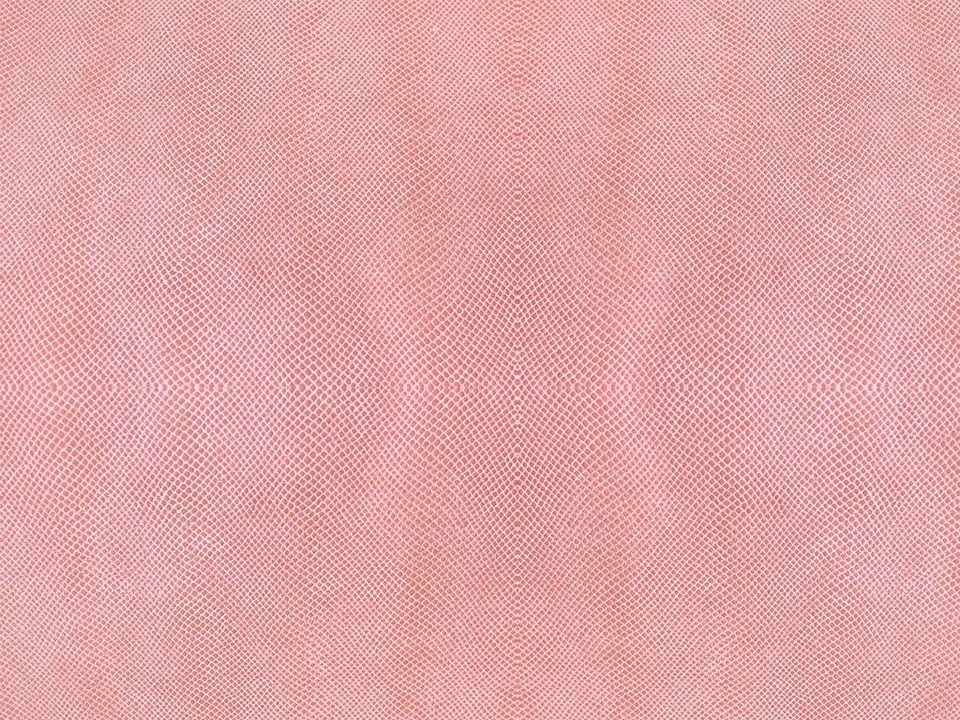 Dessine Moi Un Soulier Vipérine blush échantillon cuir serpent