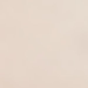 ALDO Donfern accessoire fantaisie