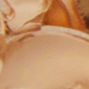 ALDO Gardenglow bijou fantaisie floral