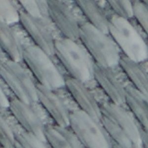 ALDO Wavysally mules raphia bleu ciel boucle