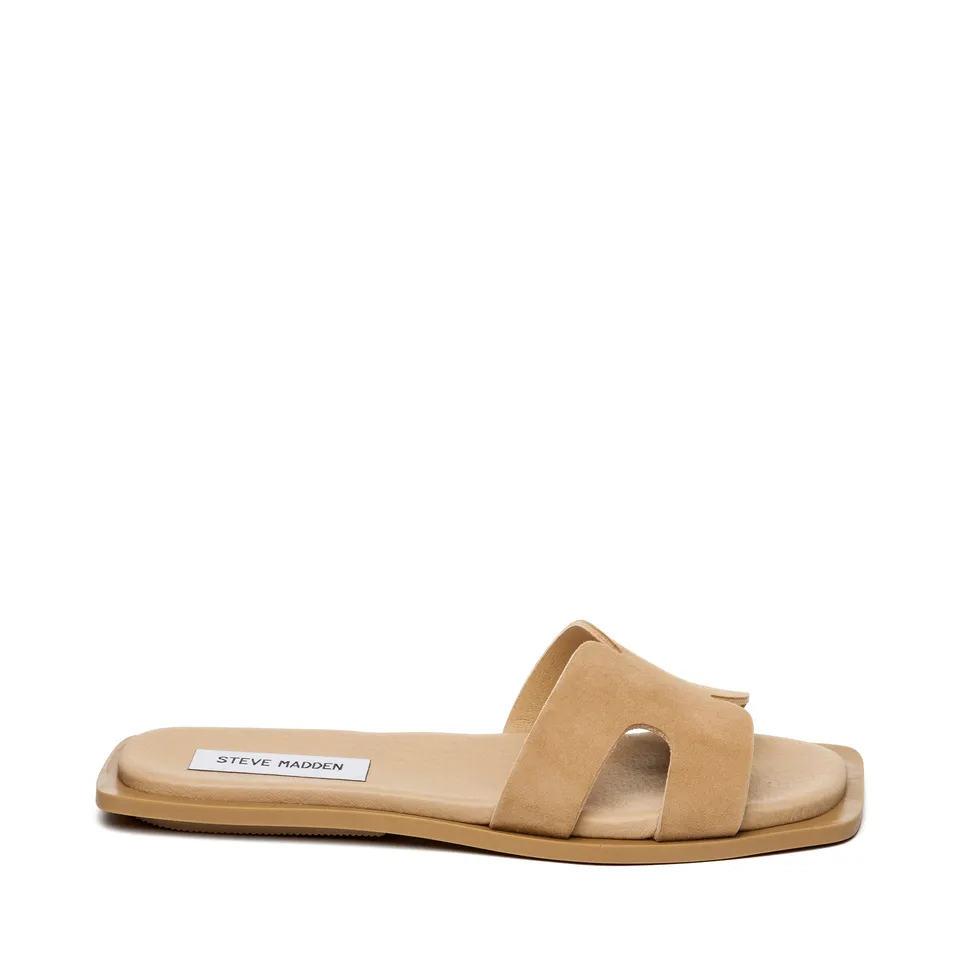 Steve Madden Sofia Slide mules sable daim
