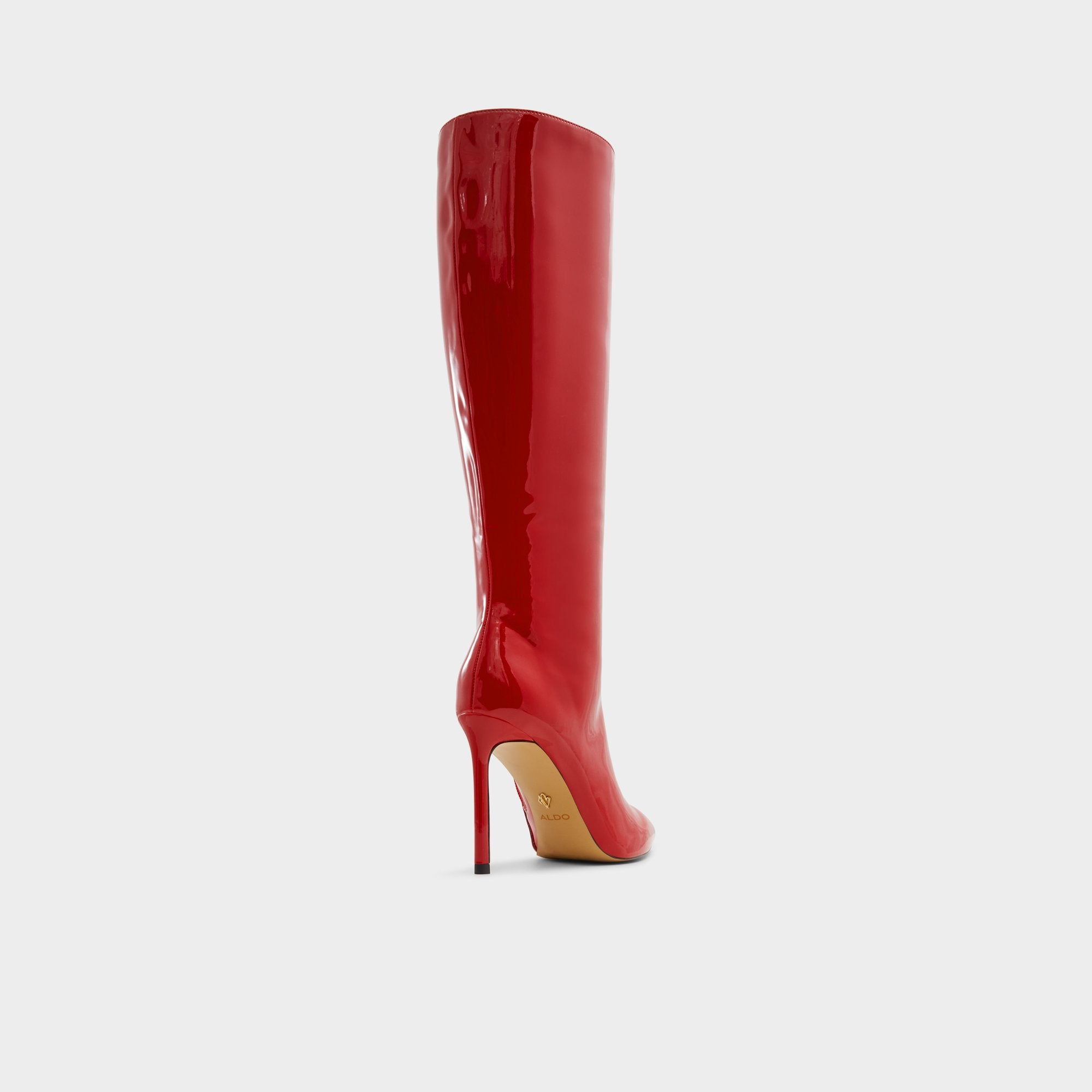 ALDO Agathea bottes hautes vernies femme
