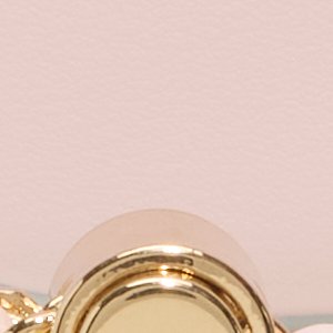 ALDO Rosavieminii mini sac pastel