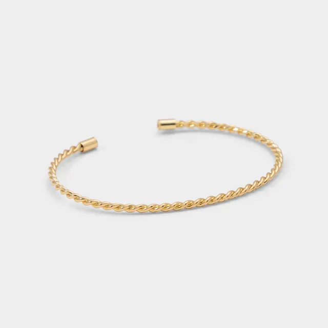 ALDO Lauriana accessoire doré femme