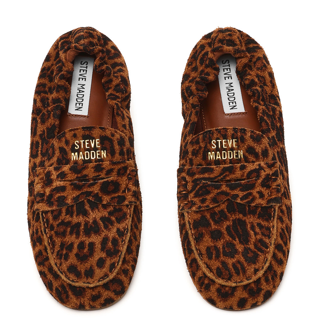 Steve Madden Newbury-A ballerines daim léopard