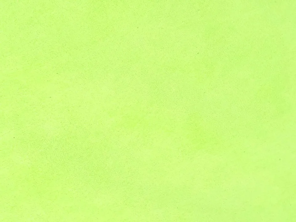 Dessine Moi Un Soulier échantillon velours vert fluo