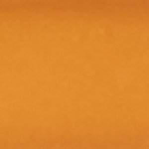 ALDO Kasienx lunettes de soleil rondes