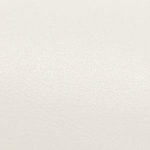 ALDO Bienkaax sac seau cuir anse dorée