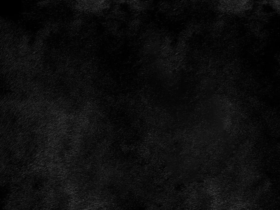 Dessine Moi Un Soulier échantillon poil noir