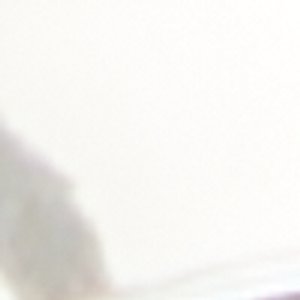 ALDO Kourtnay créoles dorées