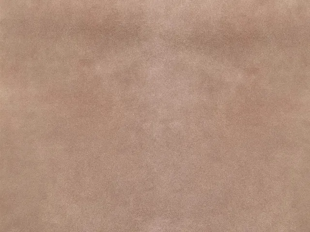 Dessine Moi Un Soulier échantillon velours bois de rose