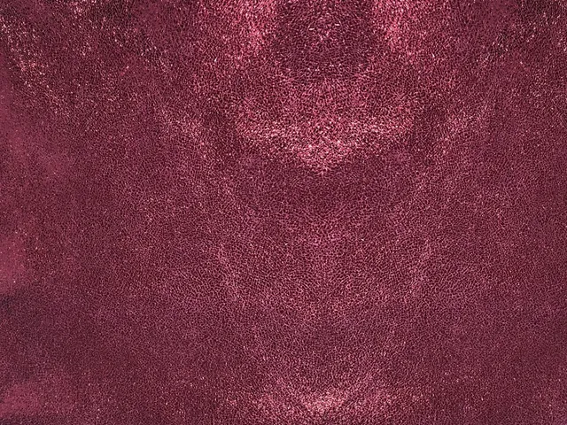 Dessine Moi Un Soulier échantillon cuir irisé grenat