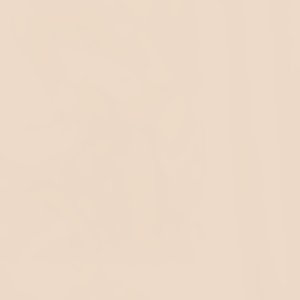 ALDO Pimediax accessoire femme pointure 38 confort quotidien
