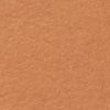 ALDO Tatyx sandale plate marron détail métal