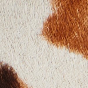 ALDO Scarletta mules talon compensé motif léopard