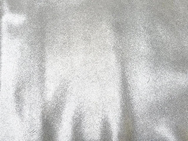 Dessine Moi Un Soulier cuir irisé argent échantillon